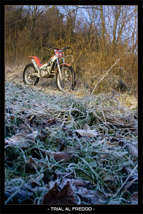 trial al freddo