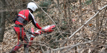 disperso nel bosco